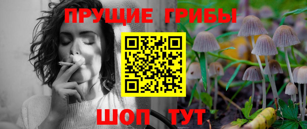 Псилоцибиновые грибы мухоморы Унеча